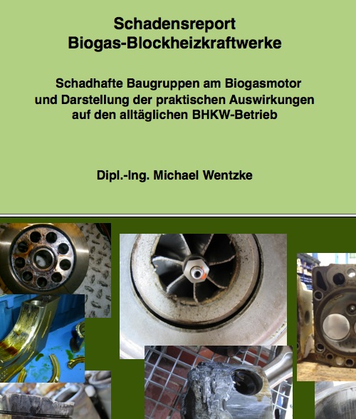 Schadensreport für Biogas BHKWs