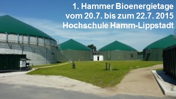 Hammer-Bioenergietage