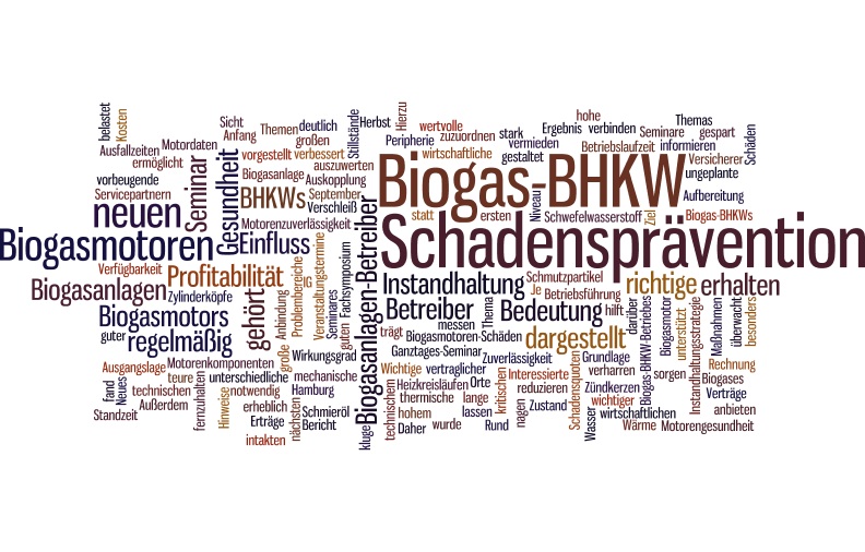 Schadensprävention im Biogas-BHKW